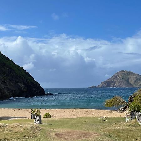 Blue Lagoon, Cottage Les Pieds Dans L Eau Terre-De-Haut Luaran gambar