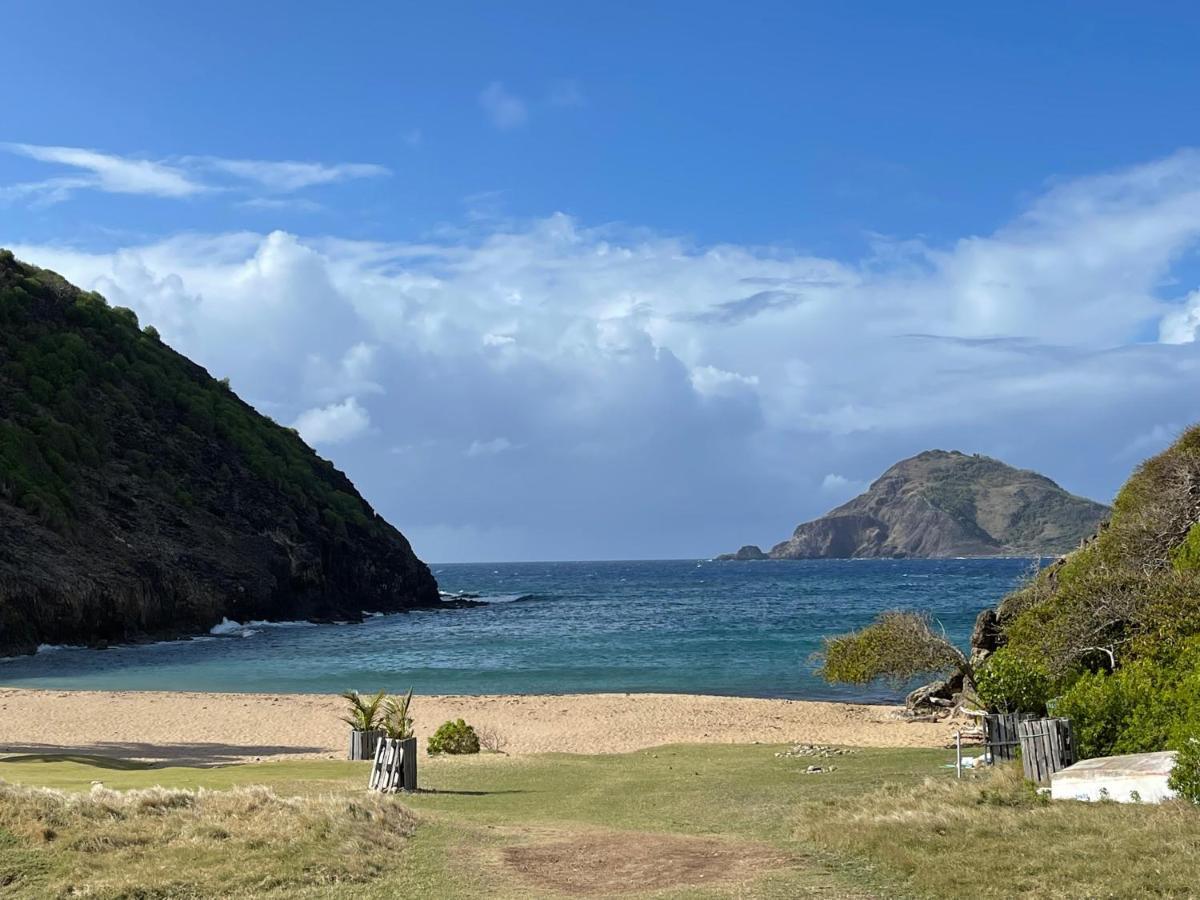 Blue Lagoon, Cottage Les Pieds Dans L Eau Terre-De-Haut Luaran gambar